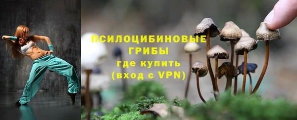 дурь Богородск