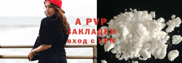 дурь Бородино