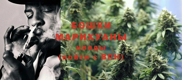 дурь Бородино
