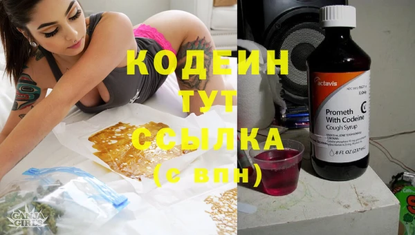 дурь Бородино
