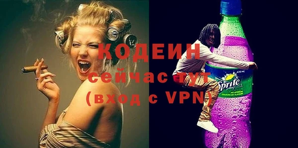 дурь Бородино