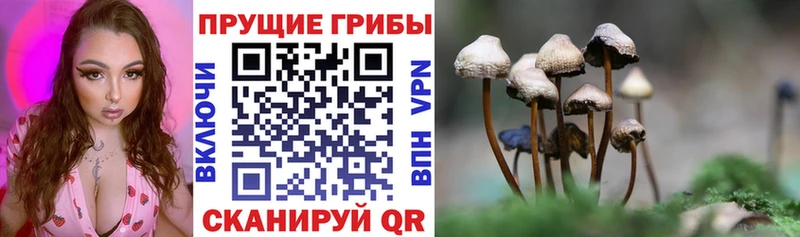 Купить  Верхняя Салда  Псилоцибиновые грибы мухоморы 